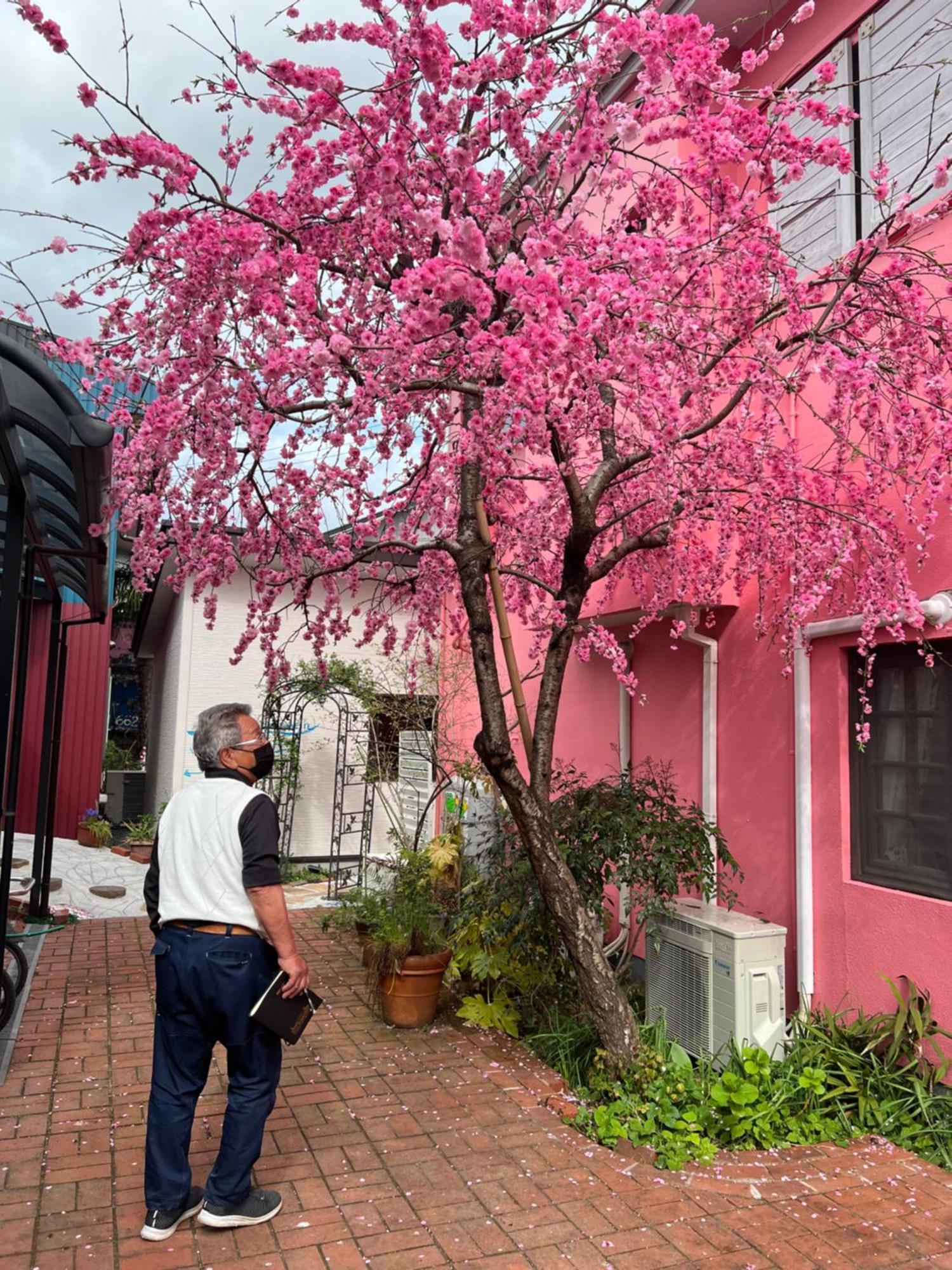 Eishinan 栄進庵 Guest House ฟูจิ ภายนอก รูปภาพ